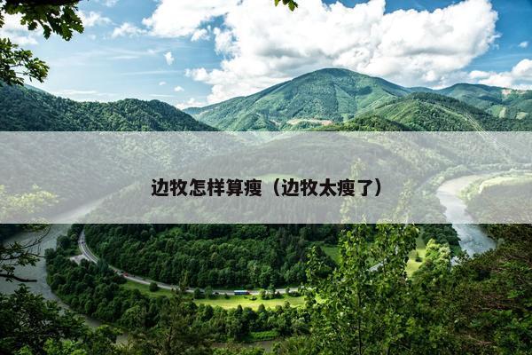 边牧怎样算瘦（边牧太瘦了）
