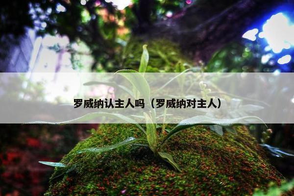 罗威纳认主人吗（罗威纳对主人）
