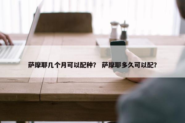 萨摩耶几个月可以配种？ 萨摩耶多久可以配？