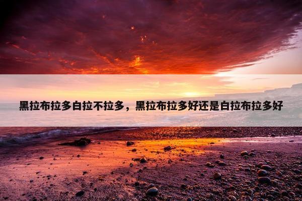 黑拉布拉多白拉不拉多，黑拉布拉多好还是白拉布拉多好