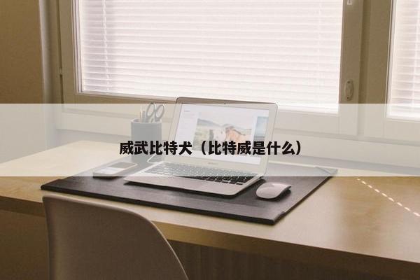 威武比特犬（比特威是什么）