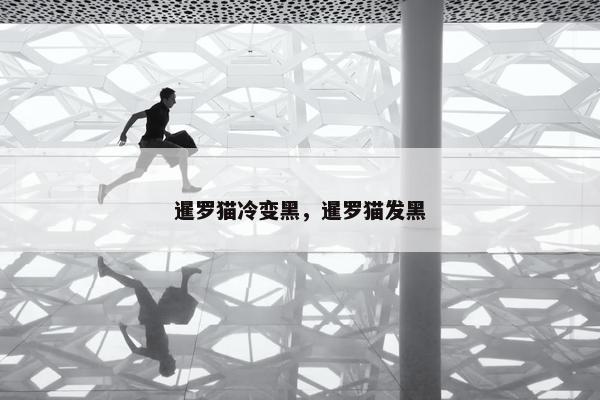 暹罗猫冷变黑，暹罗猫发黑