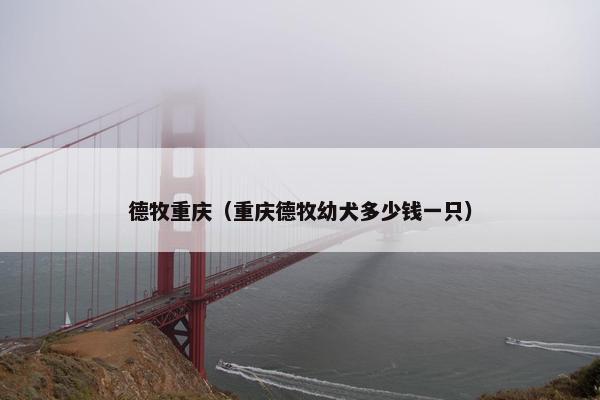 德牧重庆（重庆德牧幼犬多少钱一只）
