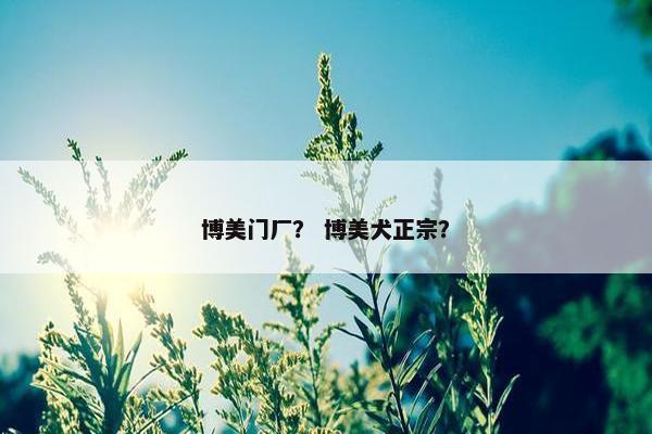 博美门厂？ 博美犬正宗？