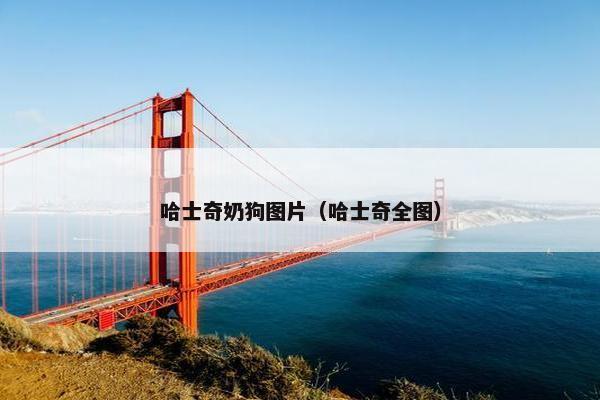哈士奇奶狗图片（哈士奇全图）