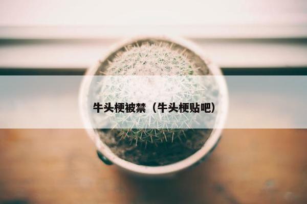 牛头梗被禁（牛头梗贴吧）