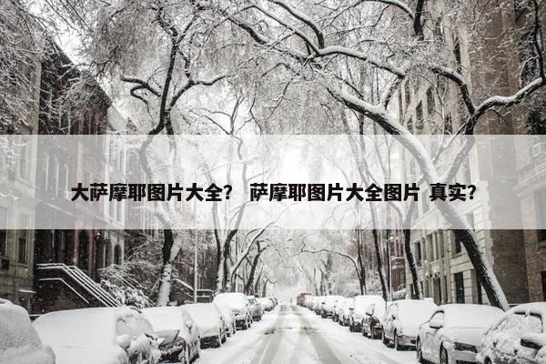 大萨摩耶图片大全？ 萨摩耶图片大全图片 真实？