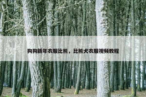狗狗新年衣服比熊，比熊犬衣服视频教程