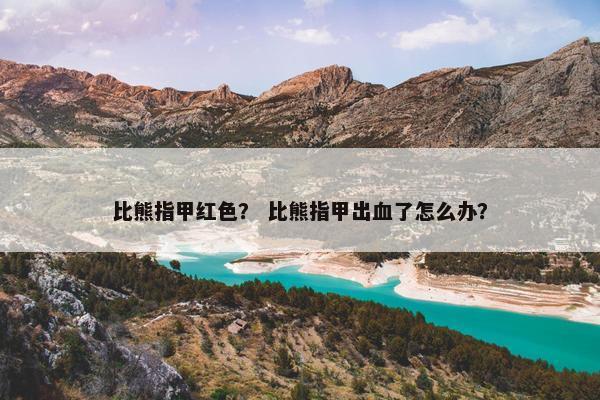 比熊指甲红色？ 比熊指甲出血了怎么办？