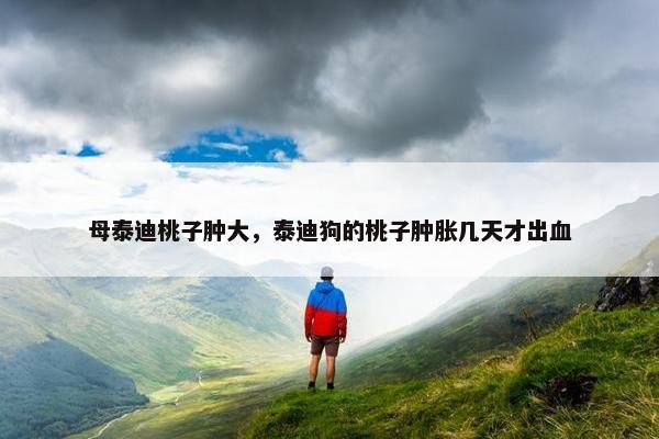 母泰迪桃子肿大，泰迪狗的桃子肿胀几天才出血