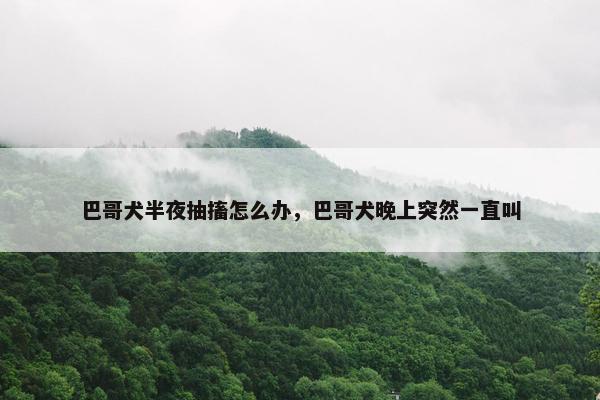巴哥犬半夜抽搐怎么办，巴哥犬晚上突然一直叫