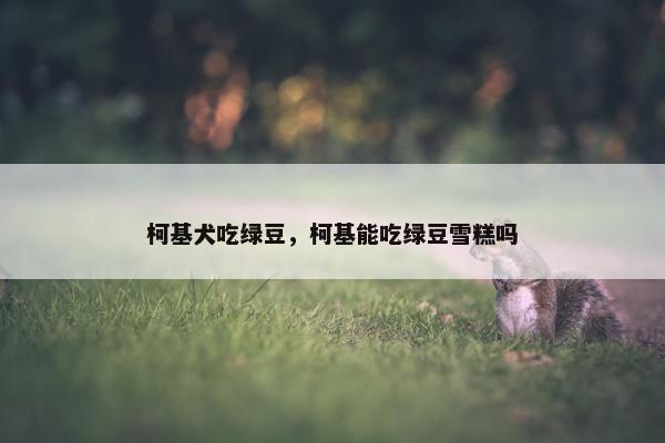 柯基犬吃绿豆，柯基能吃绿豆雪糕吗